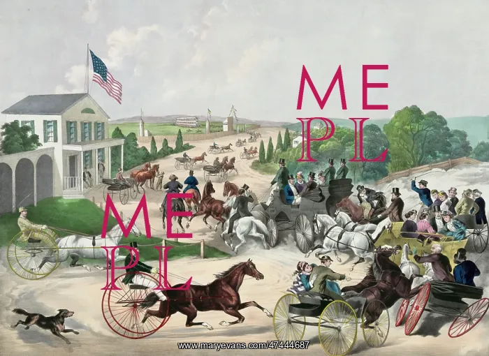  : Going to the trot
