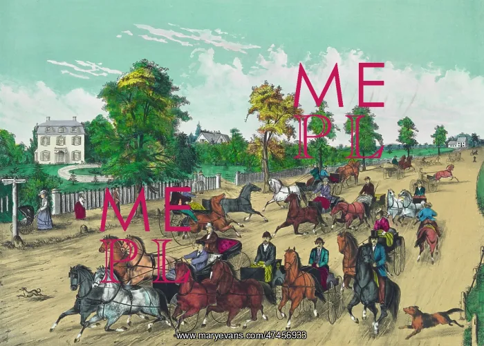  : Going to the trot