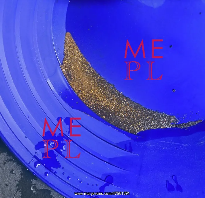 : Gold with black sands in a gold pan : Gold with black sands in a gold pan