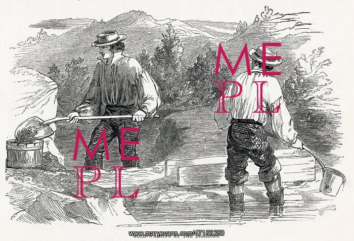 : Gold in California 1849 : Gold in California 1849
