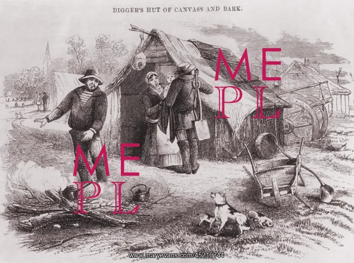 : Gold diggers hut of canvas and bark in the ? : Gold diggers hut of canvas and bark in the ?