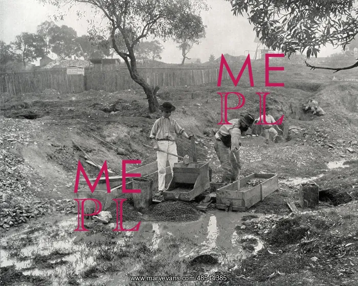 : Gold Digging in Australia : Gold Digging in Australia