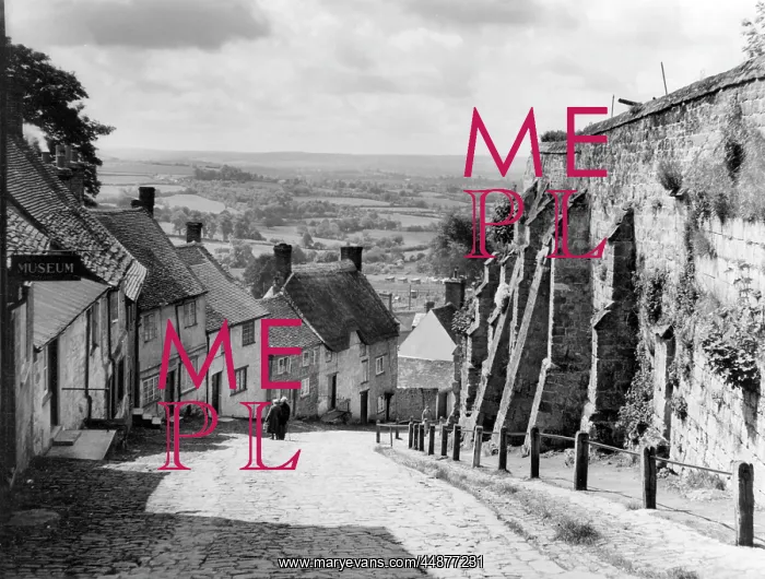 : GOLD HILL, SHAFTESBURY : GOLD HILL, SHAFTESBURY