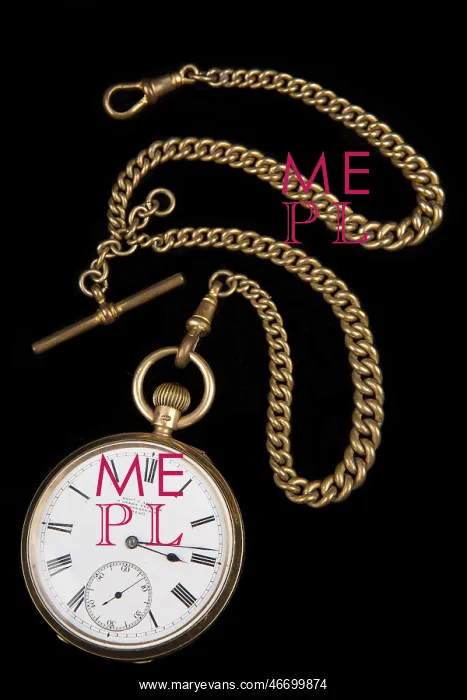 : Gold lever watch, 1892 : Gold lever watch, 1892