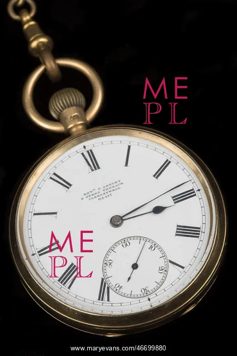 : Gold lever watch, 1892 : Gold lever watch, 1892