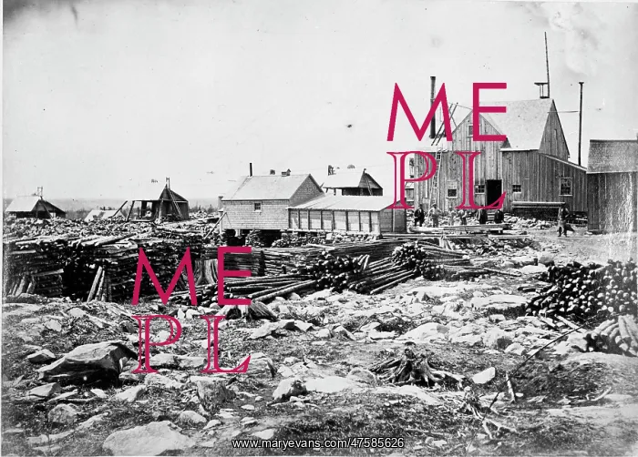 : Gold Mine, Nova Scotia, Halifax 1873 : Gold Mine, Nova Scotia, Halifax 1873
