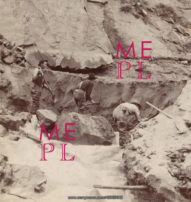 : Three gold miners working a claim with picks : Three gold miners working a claim with picks