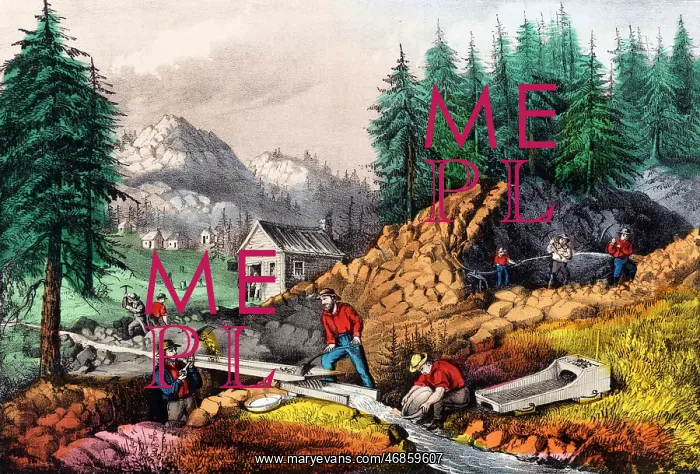  : Gold Mining in California