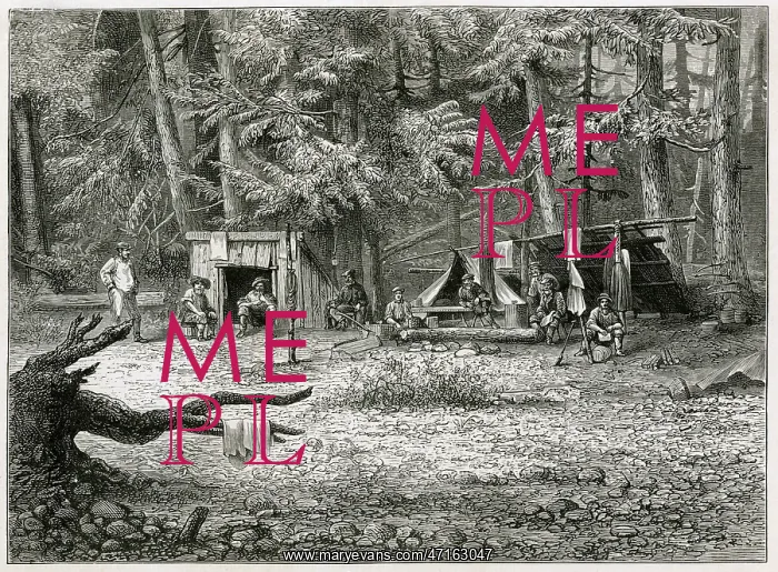  : Gold mining camp in America