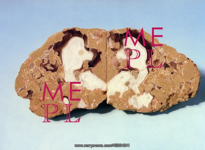 : Gold nugget, 1988 : Gold nugget, 1988