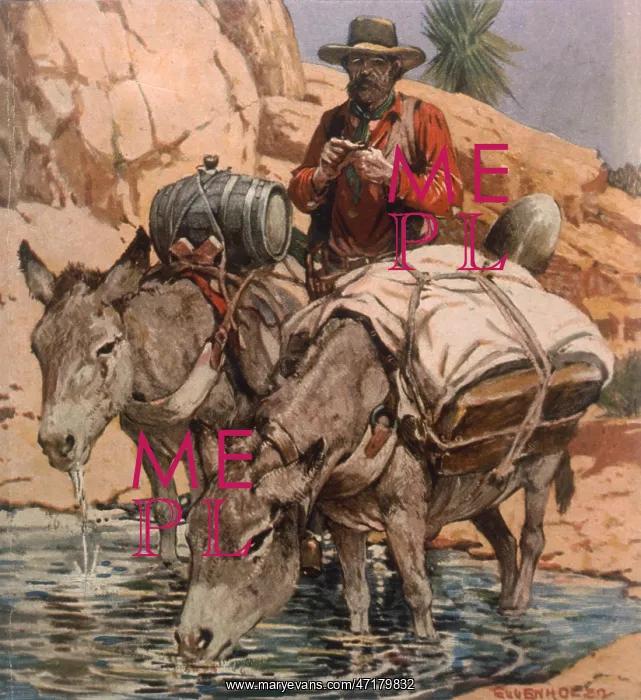 : GOLD PROSPECTOR : GOLD PROSPECTOR