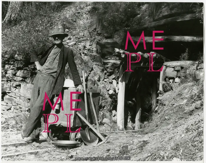 : GOLD PROSPECTOR : GOLD PROSPECTOR