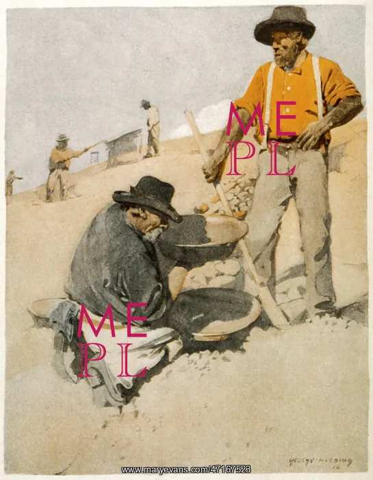 : Gold prospectors panning in Australia : Gold prospectors panning in Australia