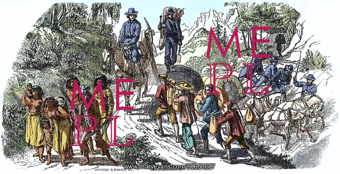 : Gold Rush, Native Americans and Chinese Immigrants : Gold Rush, Native Americans and Chinese Immigrants