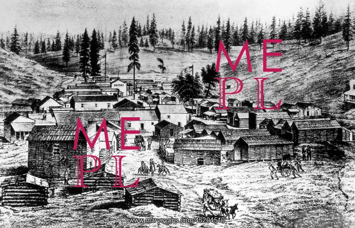 : The Gold Rush, the town of Dry Diggings, ? : The Gold Rush, the town of Dry Diggings, ?