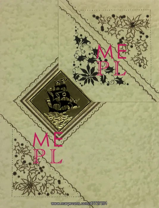  : Gold Ship