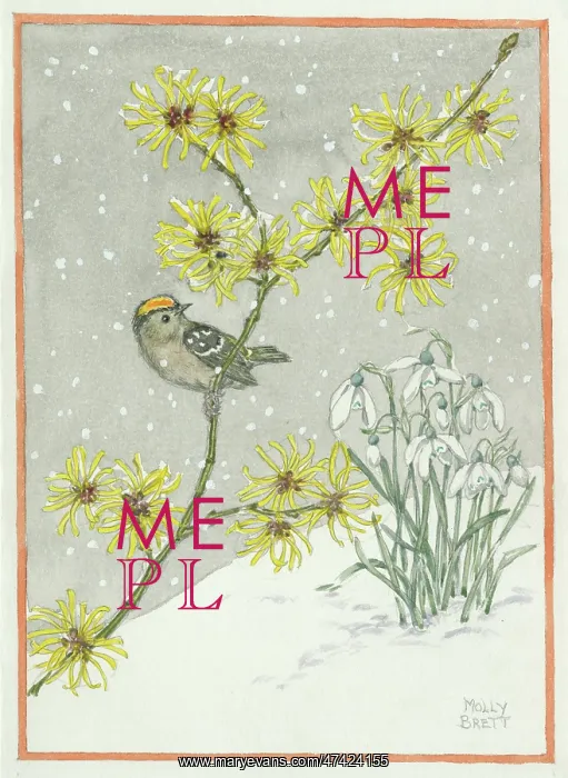 : A goldcrest balanced on a branch during the winter : A goldcrest balanced on a branch during the winter