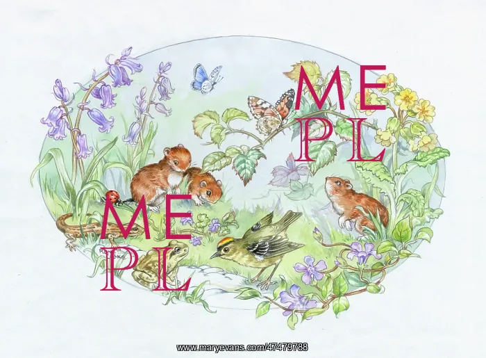 : Goldcrest, dormice, frog, etc