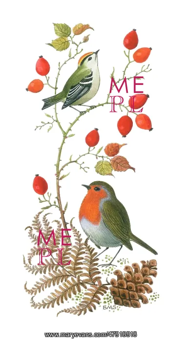 : Goldcrest and Robin, with rose hips : Goldcrest and Robin, with rose hips