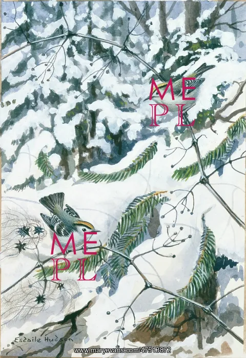  : Goldcrests in a Snowy Wood