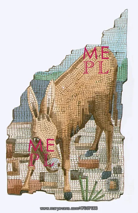 : The Golden Ass : The Golden Ass