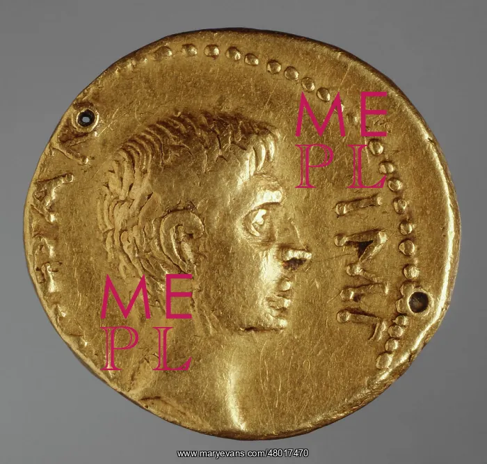 : Golden aureus coin : Golden aureus coin