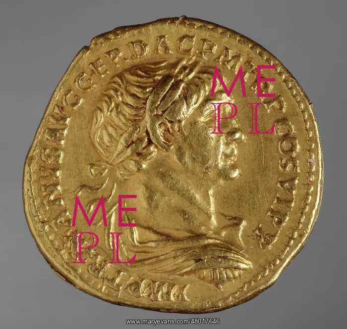: Golden aureus coin : Golden aureus coin