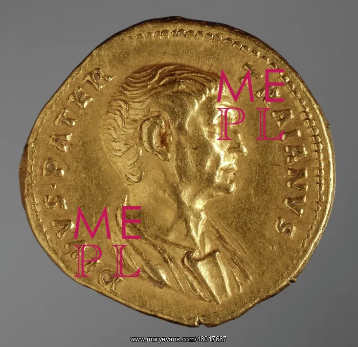 : Golden aureus coin : Golden aureus coin