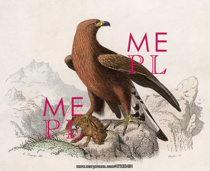  : GOLDEN EAGLE