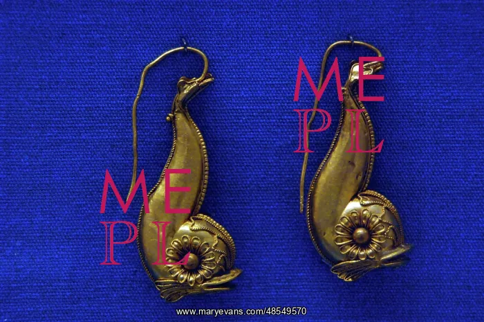 : Golden earrings with shaped like a dolphin : Golden earrings with shaped like a dolphin