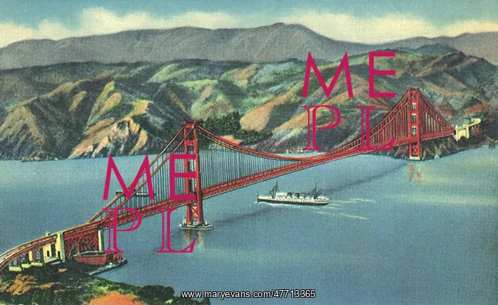  : Golden Gate to Marin