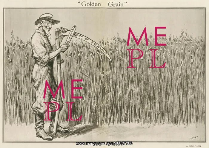 : Golden Grain : Golden Grain