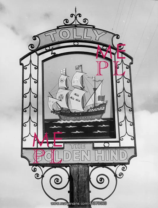 : GOLDEN HIND PUB SIGN : GOLDEN HIND PUB SIGN