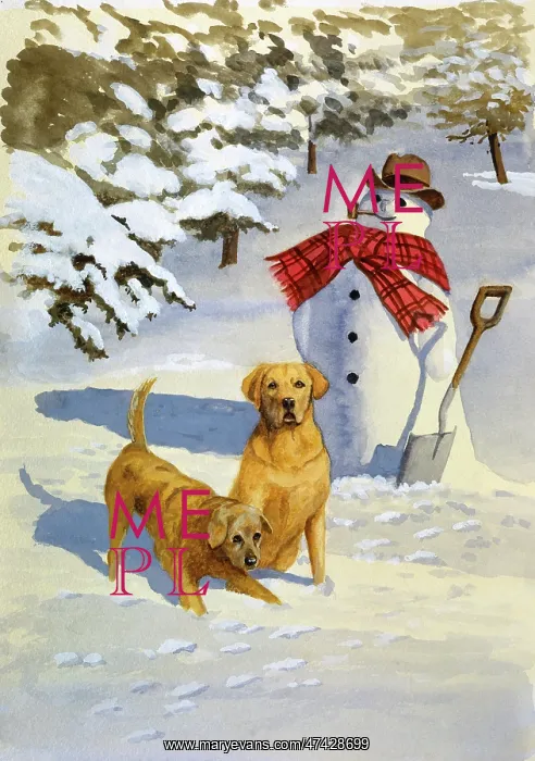  : Two Golden Retrievers and Snowman