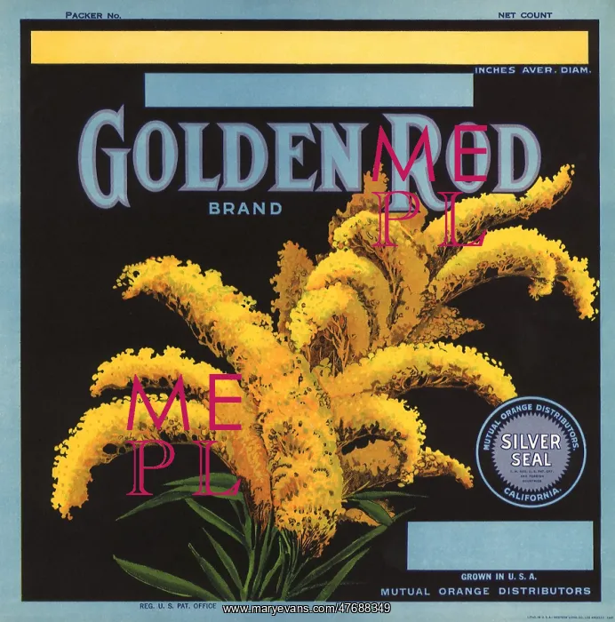  : Golden Rod Label