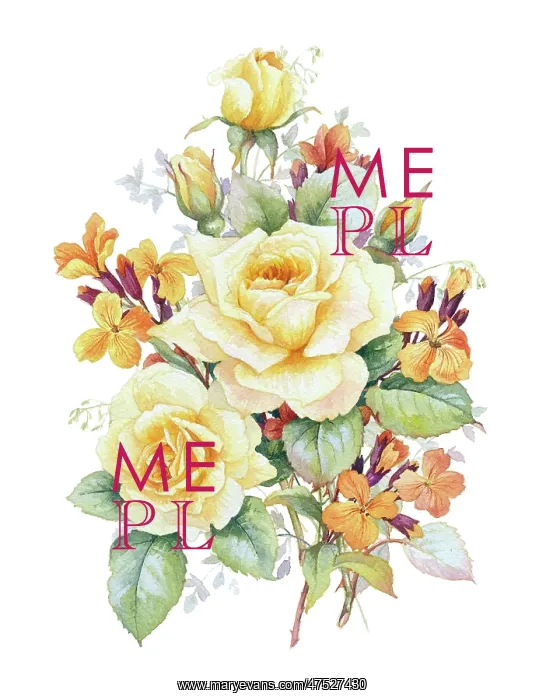  : Golden Roses and Wallflowers