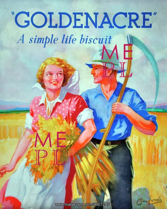 : Goldenacre biscuits : Goldenacre biscuits