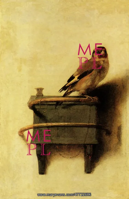  : The Goldfinch