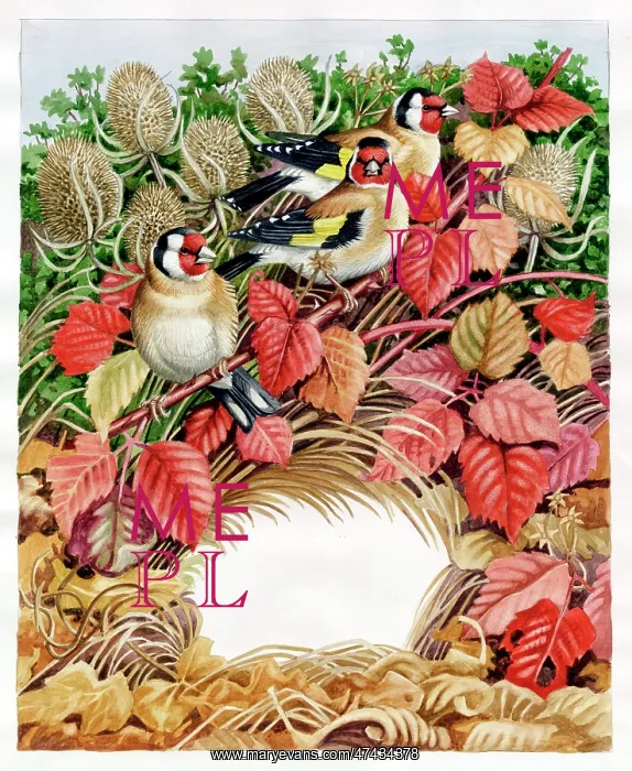 : Three Goldfinches : Three Goldfinches