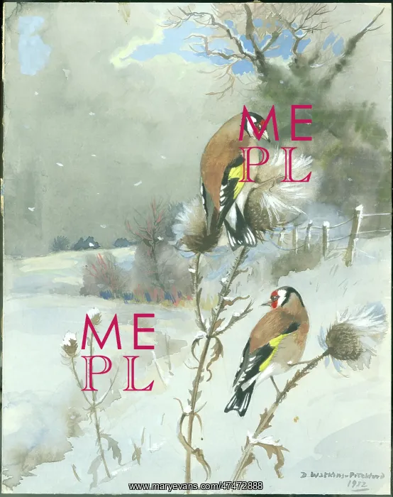  : Goldfinches in the snow
