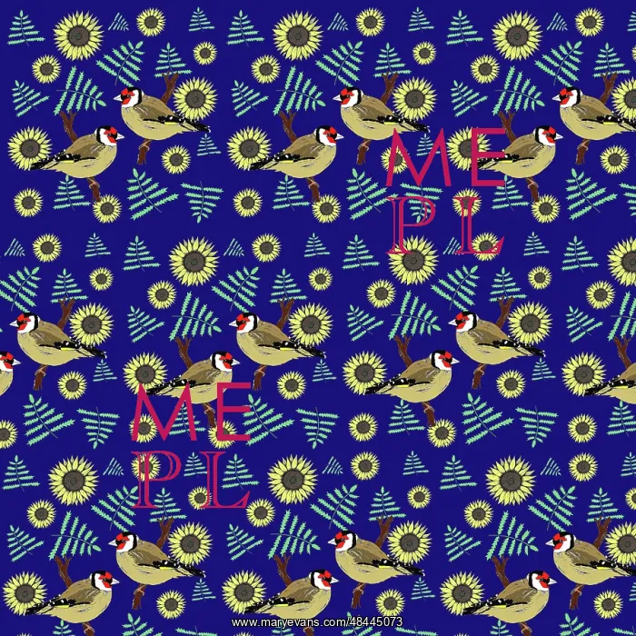 : Goldfinches and sunflowers : Goldfinches and sunflowers