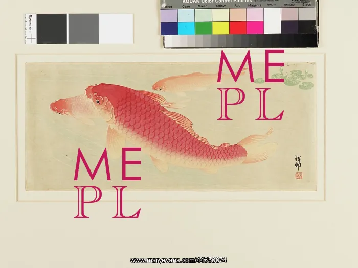  : Three goldfish