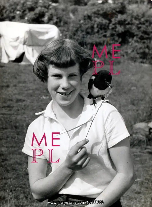: Goldie Fraser with tame Magpie Sammy : Goldie Fraser with tame Magpie Sammy