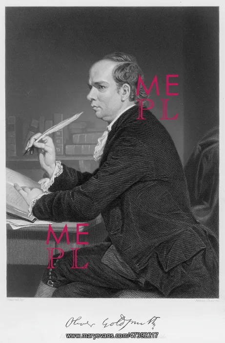 : GOLDSMITH WRITING : GOLDSMITH WRITING