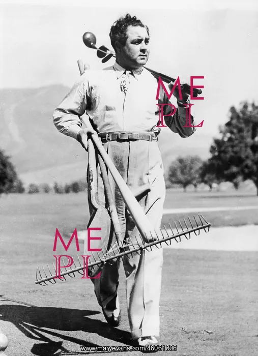 : The golf champion : The golf champion