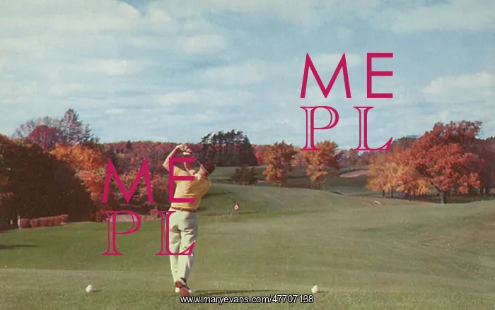  : Golfer Plays in Autumn