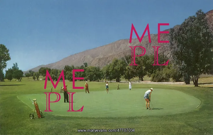  : Golfers Play a Hole