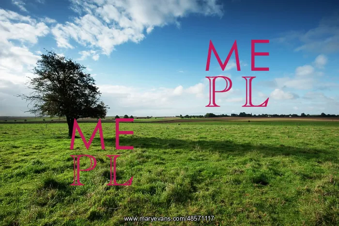 : Gommecourt - Somme : Gommecourt - Somme