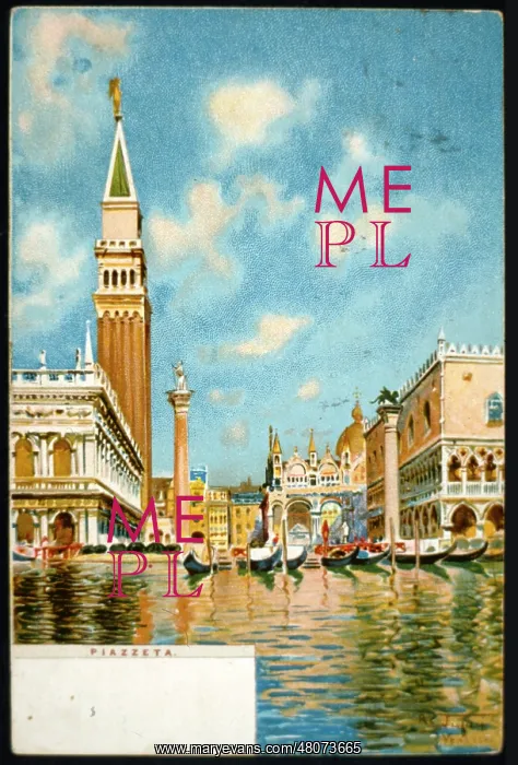  : Gondolas at the Piazzetta, Venice, Italy