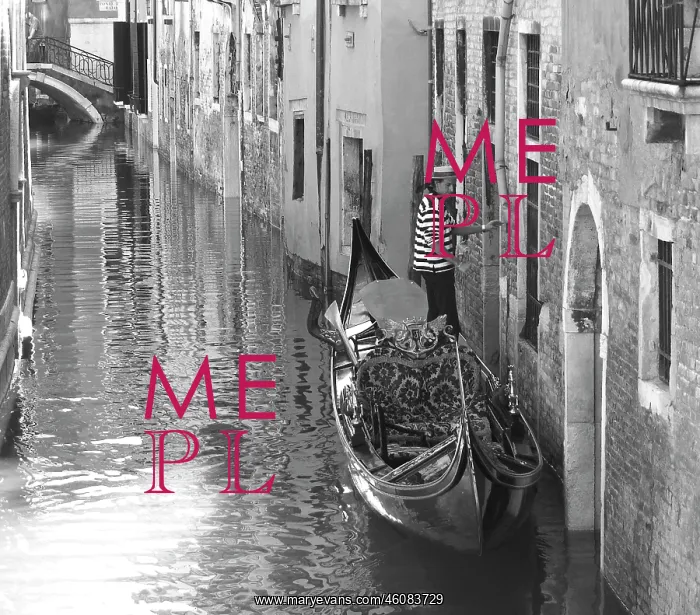 : Gondolier in Venice, Italy : Gondolier in Venice, Italy